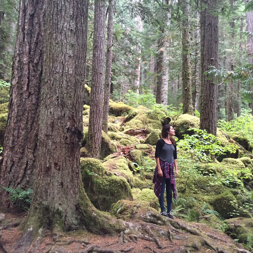 Lena Lake - Hiking Near Me - Lilliwaup, Washington