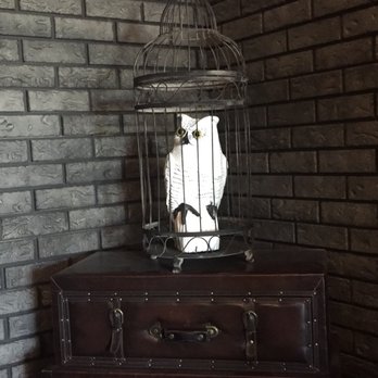 Bad Owl Coffee - Coffee & Tea Near Me - Henderson, Nevada