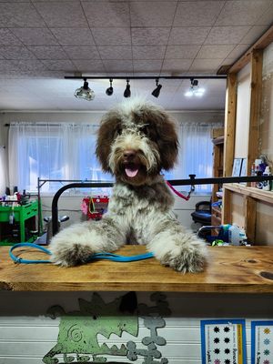 Three Rivers Grooming - Three Rivers Grooming Three Rivers Grooming - Three Rivers Grooming