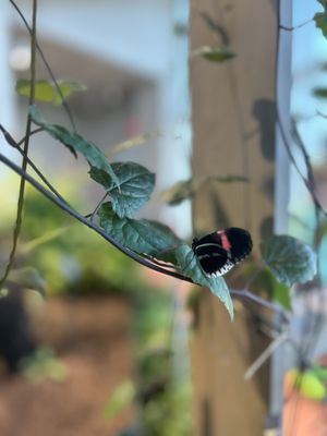 Audubon Aquarium by null
