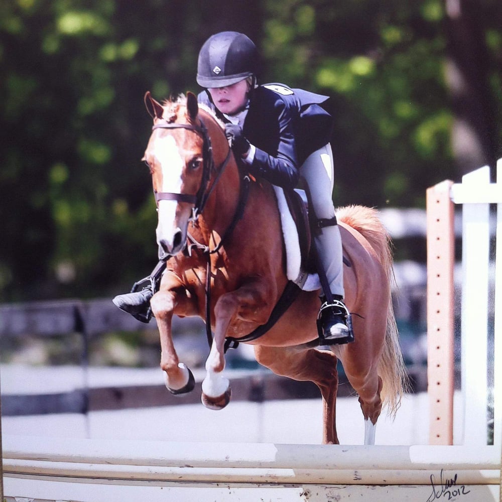 Hunters & Jumpers Equine Private Events - equestrian in Westerville, OH
