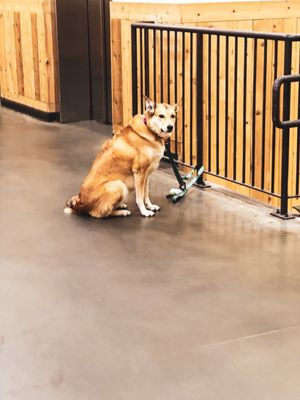 Trader Joe's by null