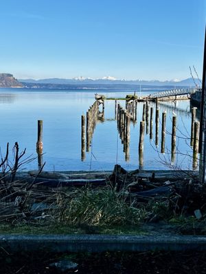 South Whidbey Harbor