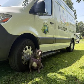 Pono Pups Mobile Grooming - Pet Groomers Near Me Pono Pups Mobile Grooming - Pet Groomers Near Me