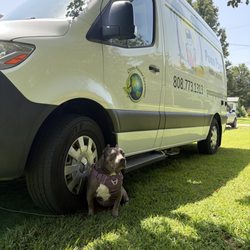 Pono Pups Mobile Grooming