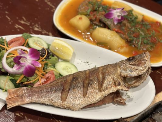 Tierra Colombiana Restaurant by null
