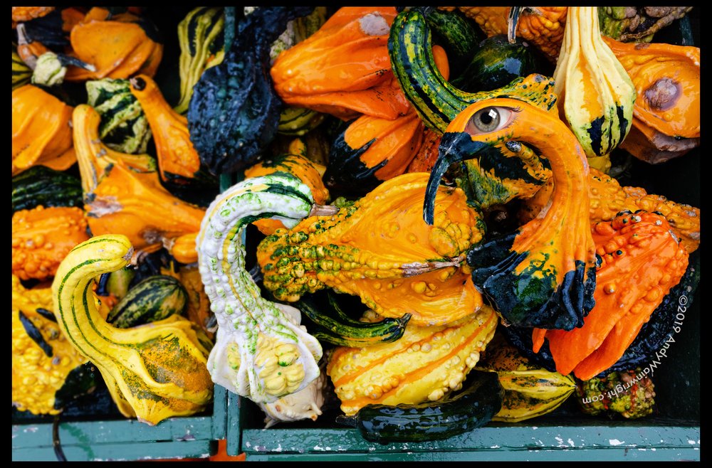 ROSENDALE FARMERS MARKET Updated May 2024 14 Photos 1055 Rte 32, Rosendale, New York