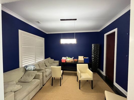 Barton Springs Painting