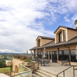 Willamette Valley Vineyards - Patio