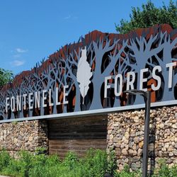 Fontenelle Forest - They allow musical instruments in the forest, so I like to bring my harp and play on the boardwalk.