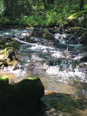 Clifford Park by null