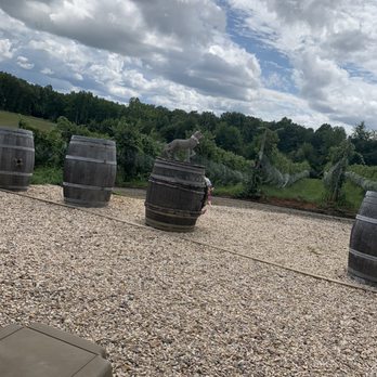 Reynard Florence Vineyard - Beautiful views - Wineries Near Me - Barboursville, Virginia Reynard Florence Vineyard - Beautiful views - Wineries Near Me - Barboursville, Virginia