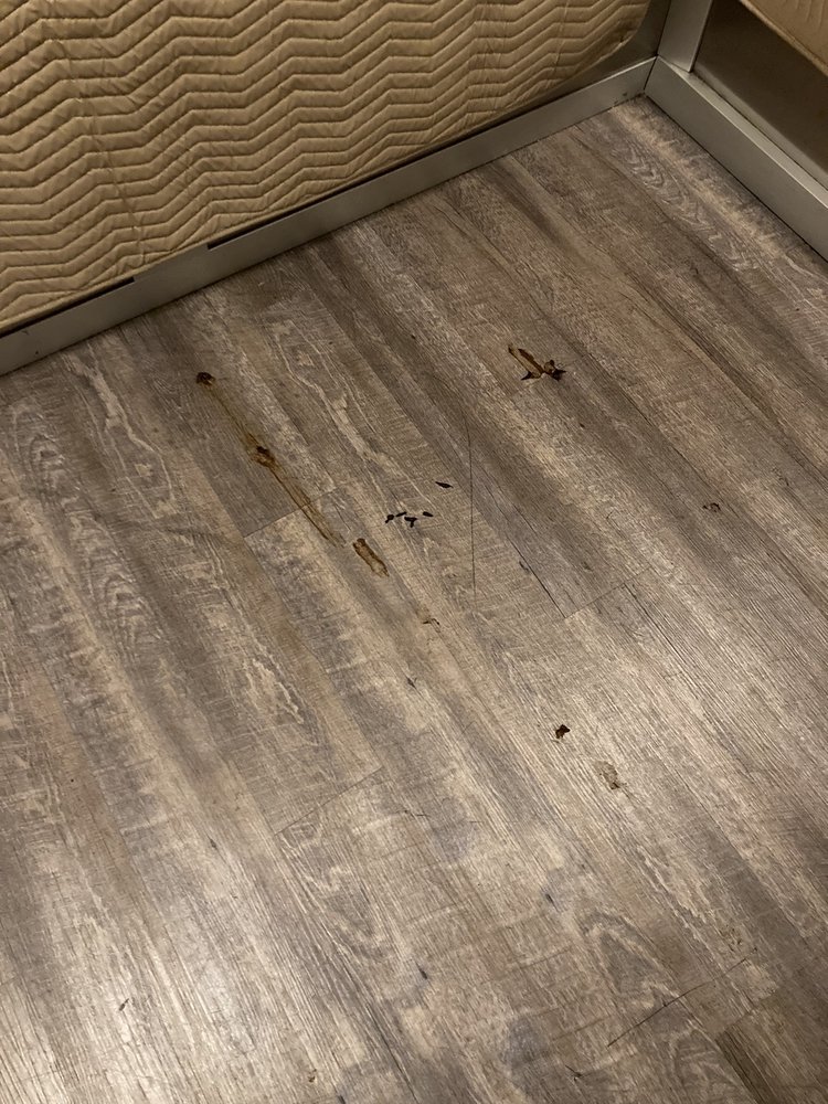 DRAKE MIDTOWN Updated August 2024 127 Photos & 17 Reviews 252