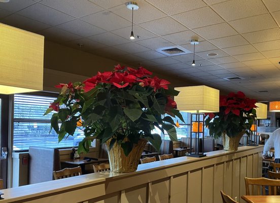 Big Fish Grill by null