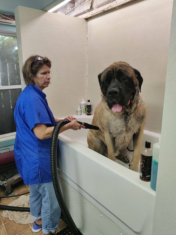 PRECIOUS PETS Updated September 2024 16 Reviews 6566 Thurston Rd