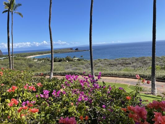 Manele Golf Course by null