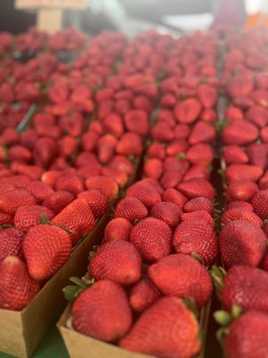 Vista Farmers Market by null