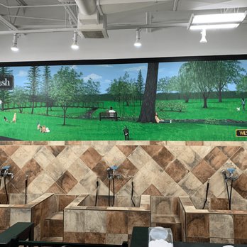 Your Pets Desire - Pet Adoption Near Me - Milan, Michigan
