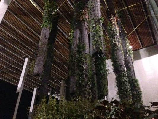 Pérez Art Museum Miami by null Pérez Art Museum Miami by null