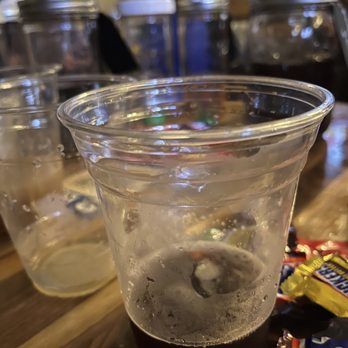 Hollow Leg - Cocktail in a plastic glass with mixers behind. - Party & Event Planning Near Me - Chicago, Illinois Hollow Leg - Cocktail in a plastic glass with mixers behind. - Party & Event Planning Near Me - Chicago, Illinois