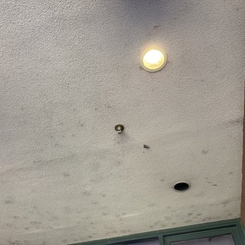 AutoZone Park - mold growing from ceiling (outdoor area) - Stadiums & Arenas Near Me - Memphis, Tennessee AutoZone Park - mold growing from ceiling (outdoor area) - Stadiums & Arenas Near Me - Memphis, Tennessee