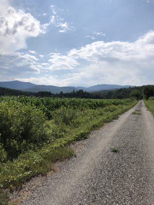 Lamoille Valley Bike Tours by null