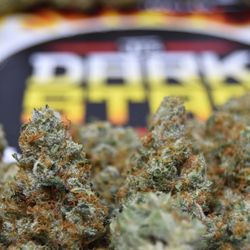 TJ's Provisions - TJ's Darkstar