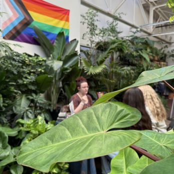 Jordan's Jungle - Nurseries & Gardening Near Me - Pawtucket, Rhode Island