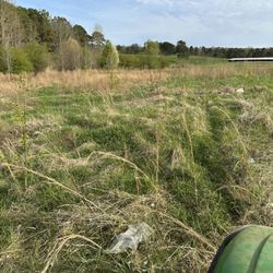 Pettus Pro Clean - Overgrown field