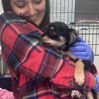 Austin Animal Center - Animal Shelters Near Me - Austin, Texas