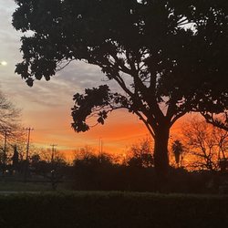 Early morning outside of Gables