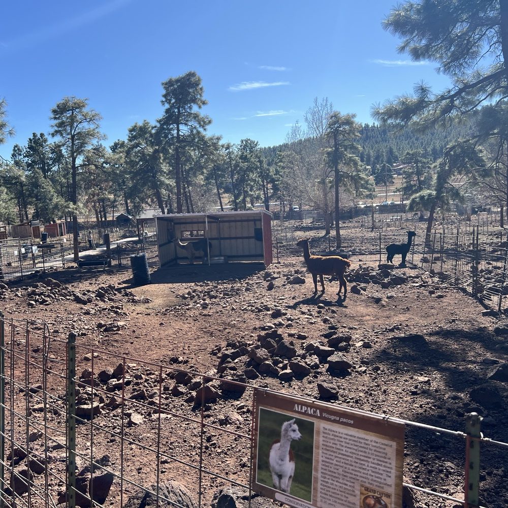 Grand Canyon Deer Farm - Zoos Near Me - Williams, Arizona Grand Canyon Deer Farm - Zoos Near Me - Williams, Arizona