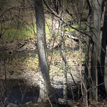 Bronx River Pkwy - Forest - Landmarks & Historical Buildings Near Me Bronx River Pkwy - Forest - Landmarks & Historical Buildings Near Me