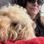 Stonecrest Animal Hospital