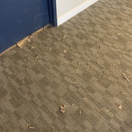 Don't you want trash all over your hallway for days!