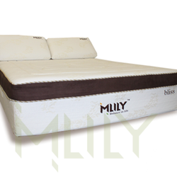 Mattress One - MLILY Memory Foam. All Gel infused with bamboo and aloe vera thoughout.