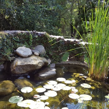 Gamble House - The fish pond - Landmarks & Historical Buildings Near Me - Pasadena, California Gamble House - The fish pond - Landmarks & Historical Buildings Near Me - Pasadena, California