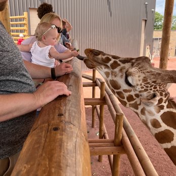 Lincoln Children's Zoo - Amusement Parks Near Me - Lincoln, Nebraska