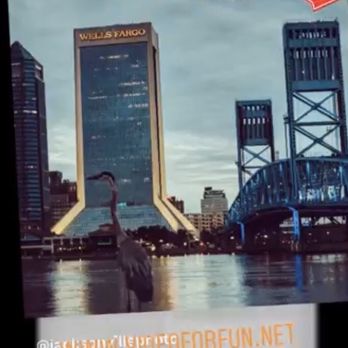 Video For Fun - Videographers Near Me - Jacksonville Beach, Florida Video For Fun - Videographers Near Me - Jacksonville Beach, Florida
