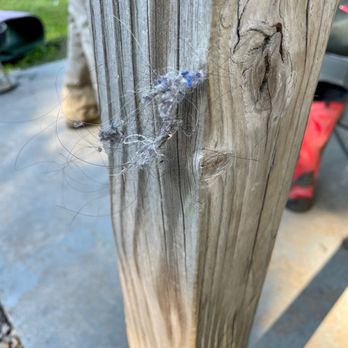 Miner's Inn - Hairy, dirt ball hanging off the outside post on the porch. - Vacation Rentals Near Me - Rock, West Virginia Miner's Inn - Hairy, dirt ball hanging off the outside post on the porch. - Vacation Rentals Near Me - Rock, West Virginia