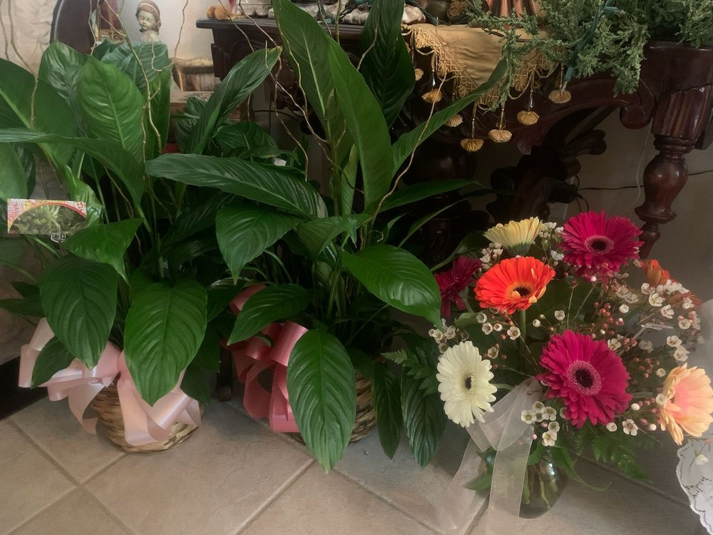 THE FLOWER BASKET Updated June 2024 545 Park Blvd, Orange Cove