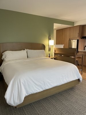 Element Denver Downtown East by null