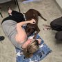 Photo of Mayville Animal Clinic