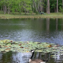 Magic River Campground - Swan