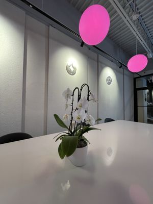 The Alley Fairfax by null