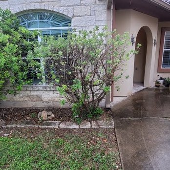 Phillips Trio Tree Service - Before - Tree Services Near Me - Pflugerville, Texas