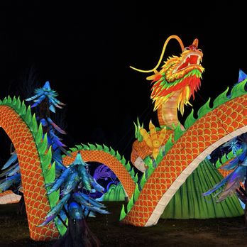 Elite Experience: Dragon Lights Reno - Yelp Events Near Me - Reno, Nevada Elite Experience: Dragon Lights Reno - Yelp Events Near Me - Reno, Nevada