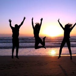 Next Level Healing - Next Level Healing provides alternative medicine that focuses on getting your digestive system back on track.