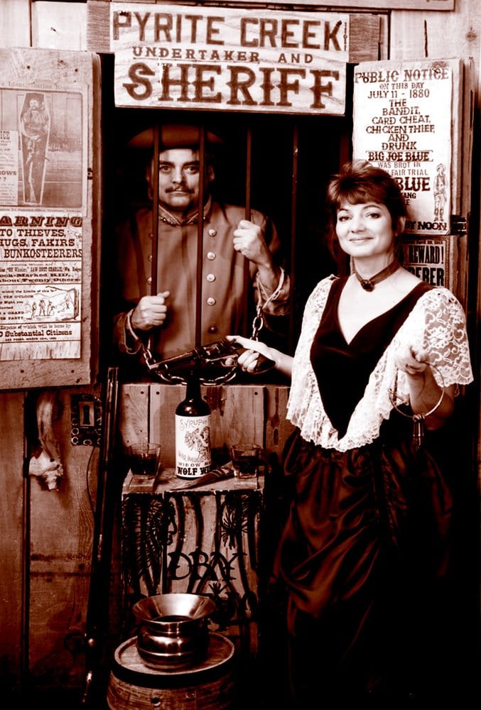 ACCESS BONDING SERVICE Updated August 2024 4803 Katy Fwy, Houston