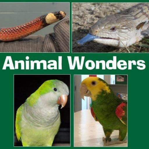 ANIMAL WONDERS Updated June 2024 405 W 10th St, Holden, Missouri Animal Shelters Phone